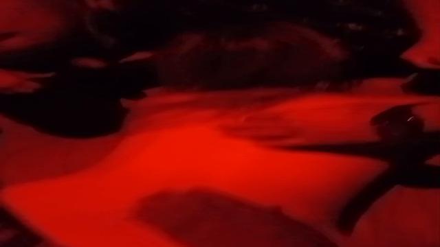 Surubão com amiguinhos