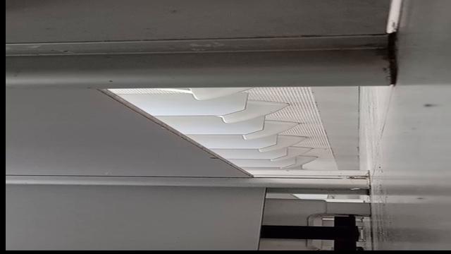 Quantos boys e que paus grandes são esses