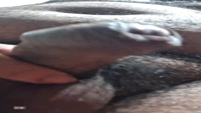 Gordinho motoboy 54 anos batendo uma escondido da mu...