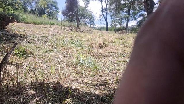 Peladão atrás da árvore 