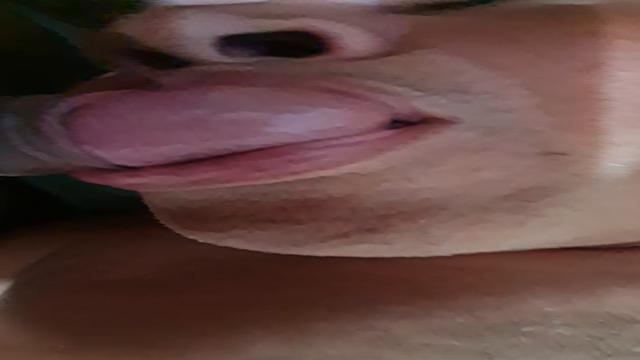 Mamada gostosa 
