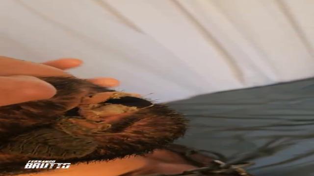 Fodendo o safado puto