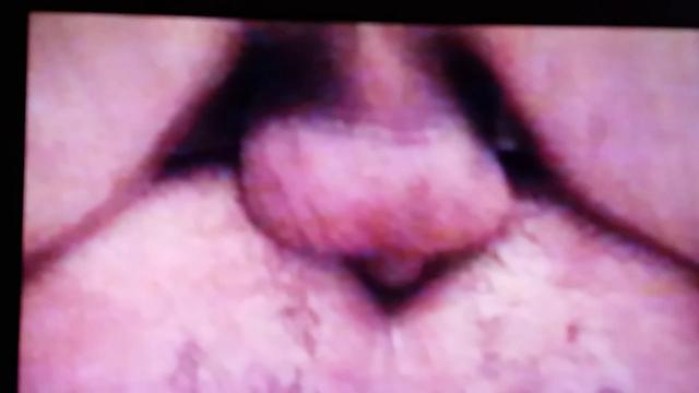 COWBOY CAVALÃO POTRO JOVEM FODENDO UMA POTRANCA A 25...